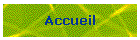 Accueil